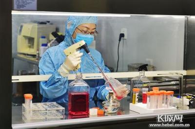 河北 '去'出發(fā)展新空間 '轉'來發(fā)展新動能——生物技術開發(fā)引領新時代高質量發(fā)展