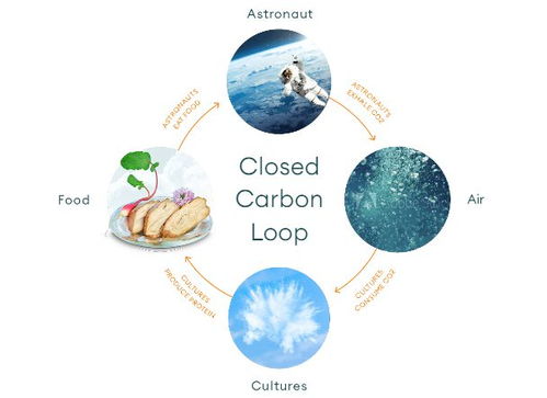 空氣造肉 生物技術(shù)顛覆食品科技，人類(lèi)飲食革命或?qū)㈤_(kāi)啟